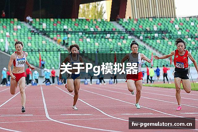 关于Pg模拟器
